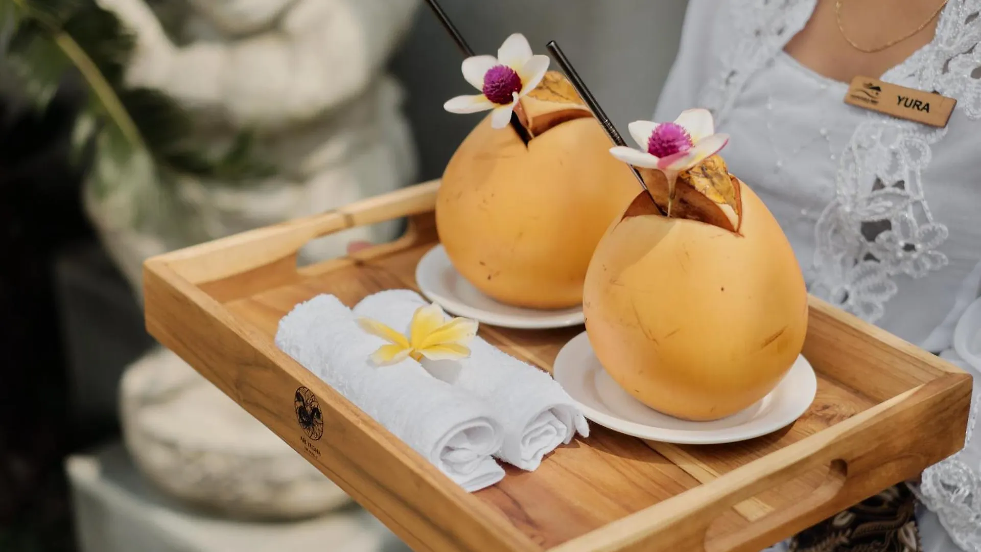 Ari Yudha Ubud Villa  Ubud (Bali)